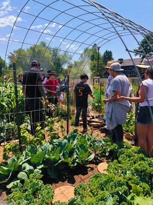 Community members walking through a garden hoop house